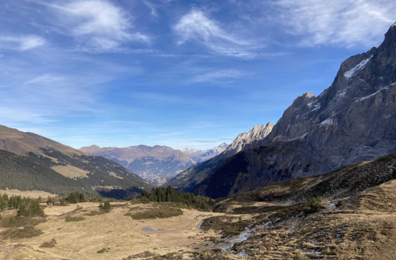 Frühlingswanderung auf der ViaAlpina von Meiringen via Grosse Scheidegg nach Grindelwald